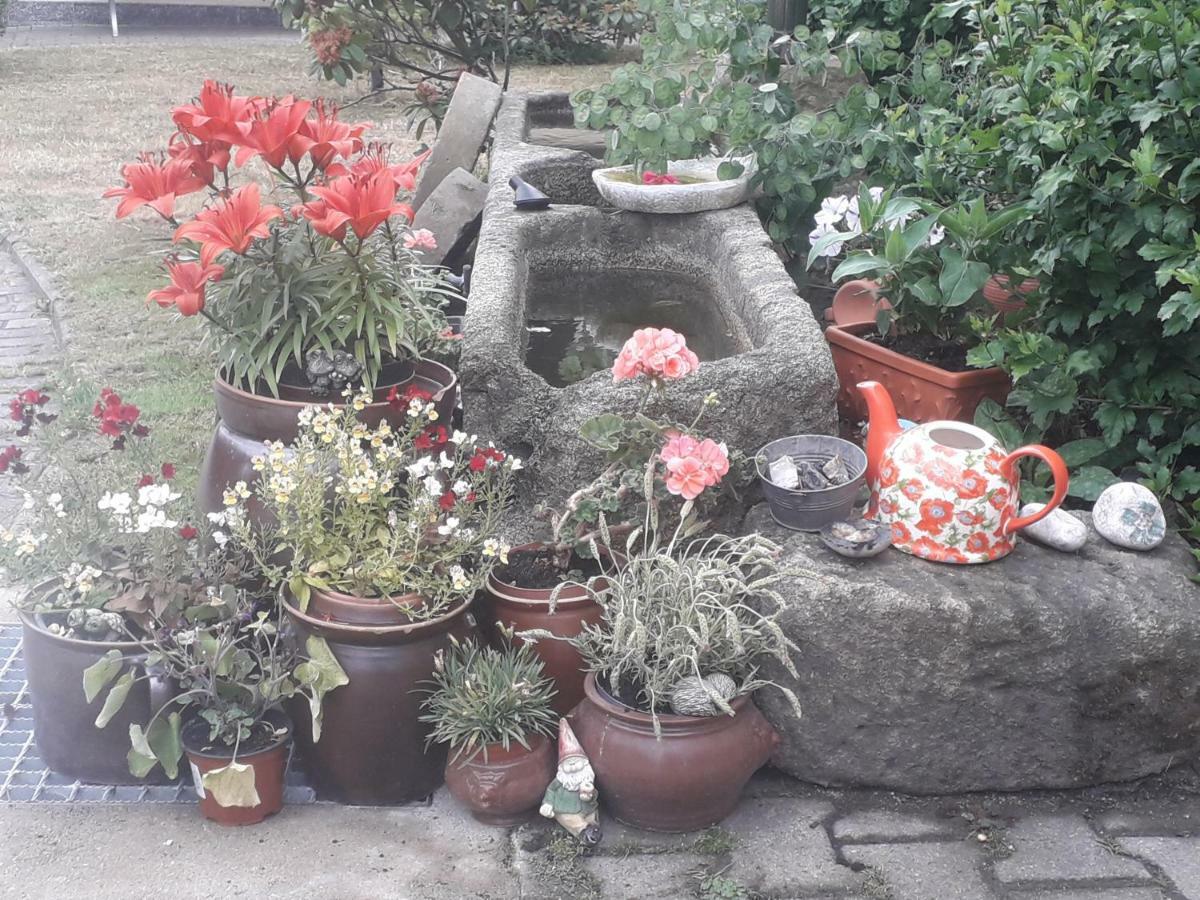 Sommerfrische Hinterhermsdorf Exterior foto