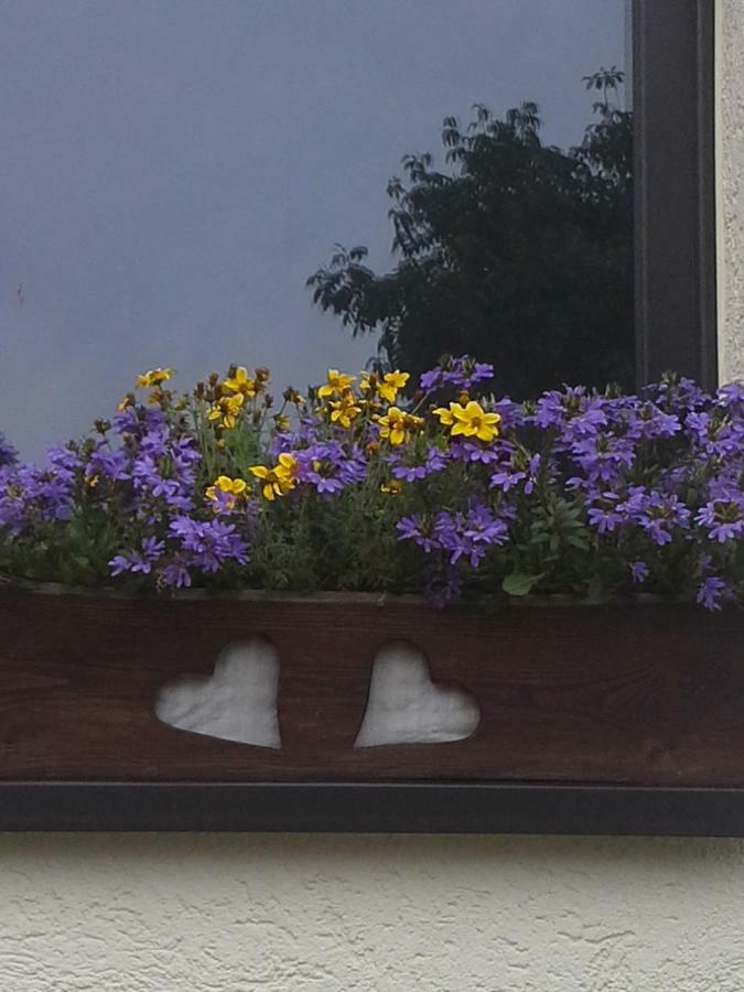 Sommerfrische Hinterhermsdorf Exterior foto