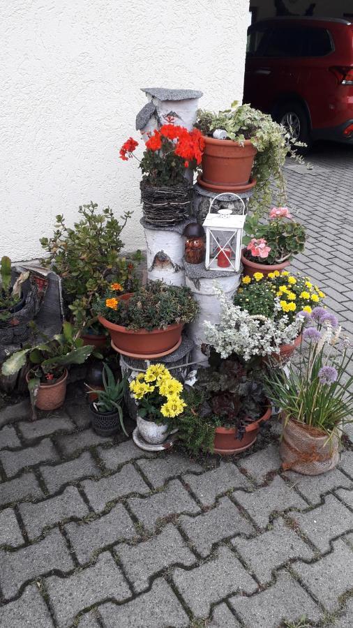 Sommerfrische Hinterhermsdorf Exterior foto